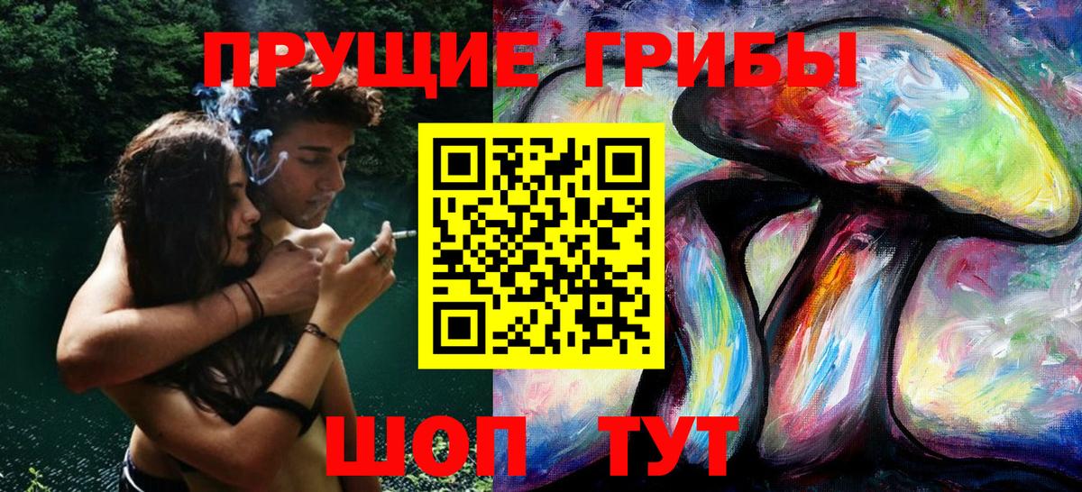 Галлюциногенные грибы мицелий  Вход с VPN  Псилоцибиновые грибы мицелий  Светлоград 