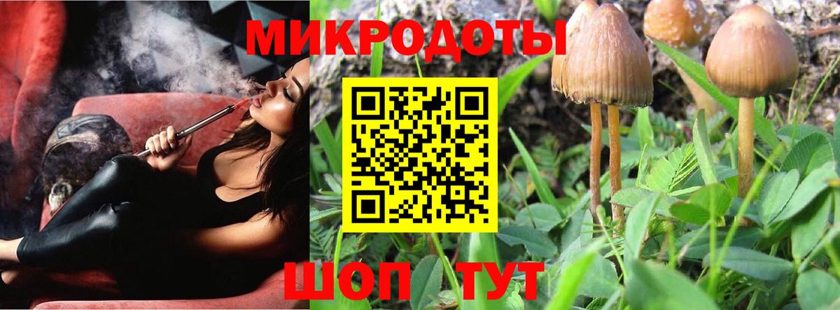 Галлюциногенные грибы Cubensis Светлоград