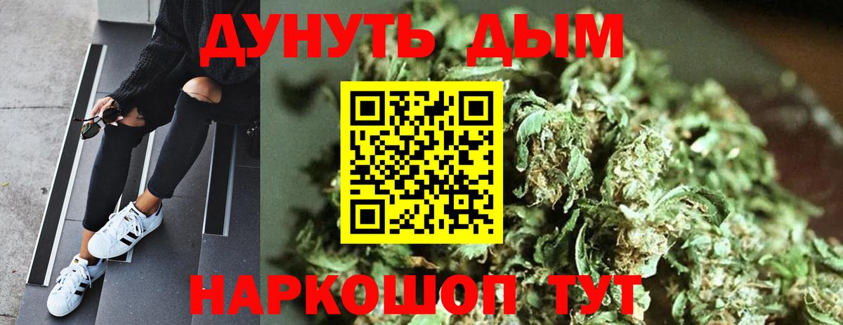 Бошки Шишки марихуана  Конопля сатива  Вход с VPN  Светлоград 
